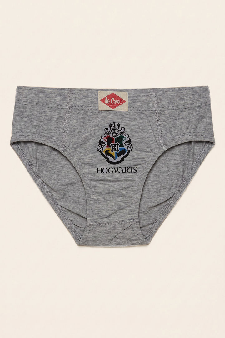 Lee Cooper Boys Harry Potter Briefs (Pack of 3) - Multicolor — image 5